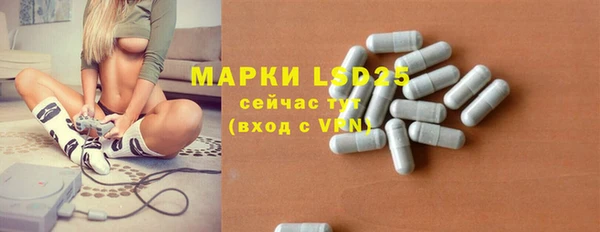 ECSTASY Новозыбков